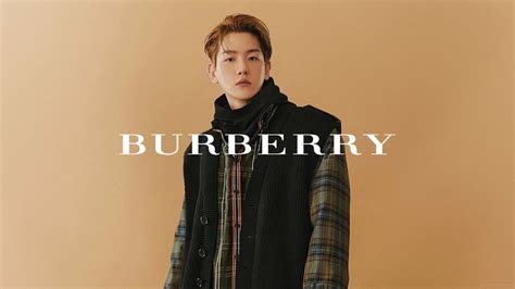 burberry kpop|A Comprehensive List Of Korean Celebrities Who Are .